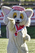 Viking Line Bowlin itseoikeutettuna suojelijana toimi Ville Viikinki.
Kuva: FSC Media / Riku Flink