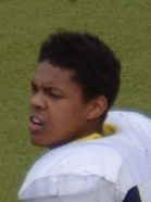 Wolverinesin keskushyökkääjä Sebastien Sagne.