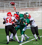 Hilkka Rahkonen (56) ja muut Roostersin puolustuksen linjapelaajat haluavat sunnuntaina pysäyttää Tiina Salon ja muut Crocodiles-hyökkääjät.
Kuva: Eki Tanskanen