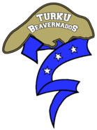 Turussa halutaan palata kannukantaan yhteispelillä